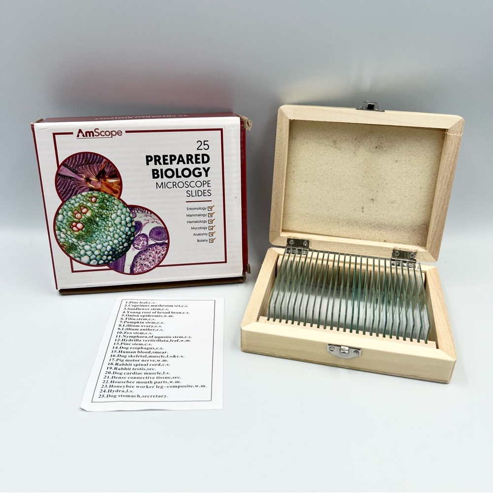 AmScope Prepared Biology Microscope Slides